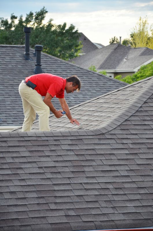 Roofing Service Provider 2